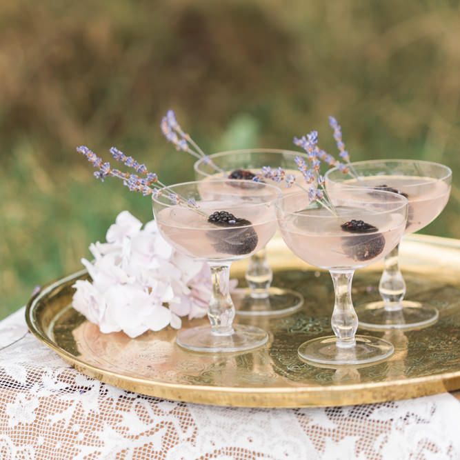 Image by <a href="https://www.fantonphotography.com/" target="_blank">Amy Fanton Photography</a>