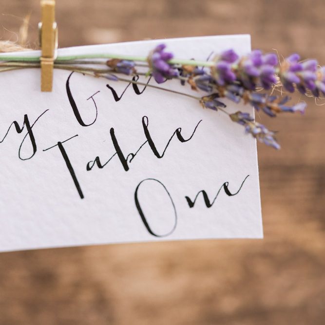 Image by <a href="https://www.fantonphotography.com/" target="_blank">Amy Fanton Photography</a>