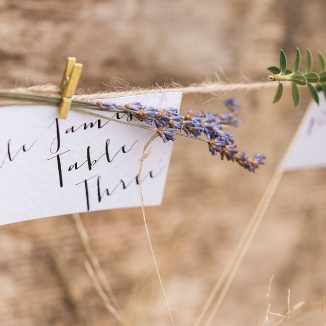 Image by <a href="https://www.fantonphotography.com/" target="_blank">Amy Fanton Photography</a>