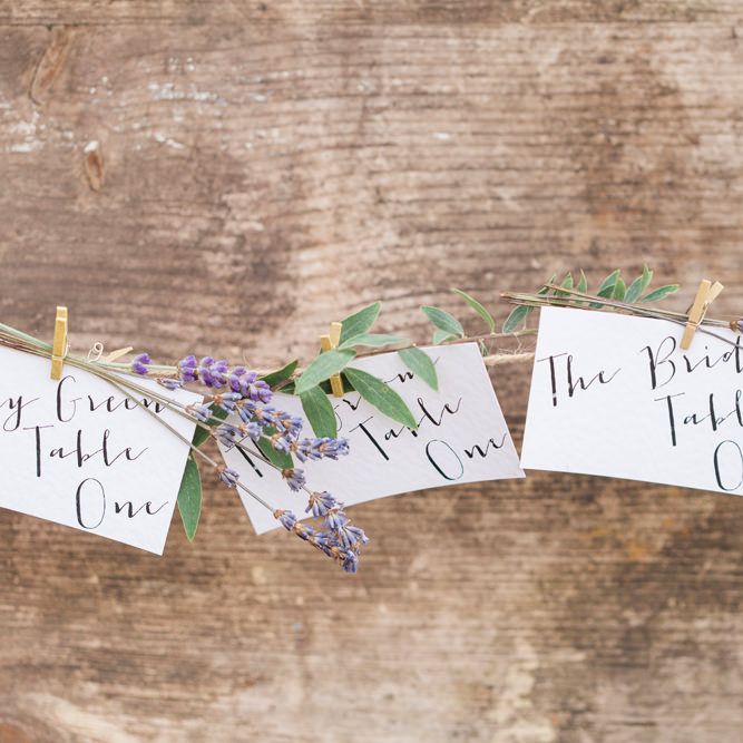Image by <a href="https://www.fantonphotography.com/" target="_blank">Amy Fanton Photography</a>
