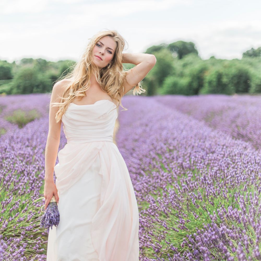 Image by <a href="https://www.fantonphotography.com/" target="_blank">Amy Fanton Photography</a>