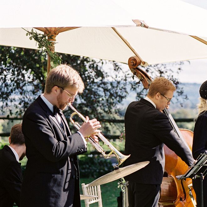 #crowedding Alive Network wedding entertainment