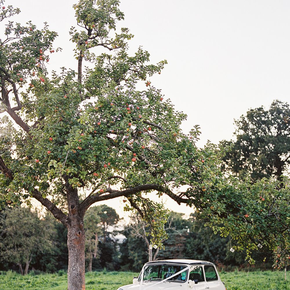#crowedding Elmore Court outdoor reception