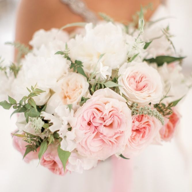 Images by <a href="https://www.naomikenton.com" target="_blank">Naomi Kenton</a>