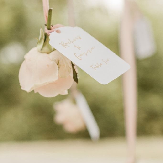 Images by <a href="https://www.naomikenton.com" target="_blank">Naomi Kenton</a>