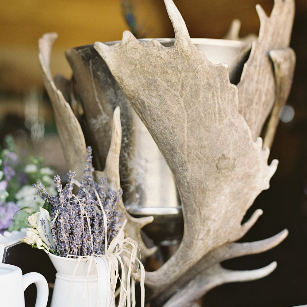 Antlers