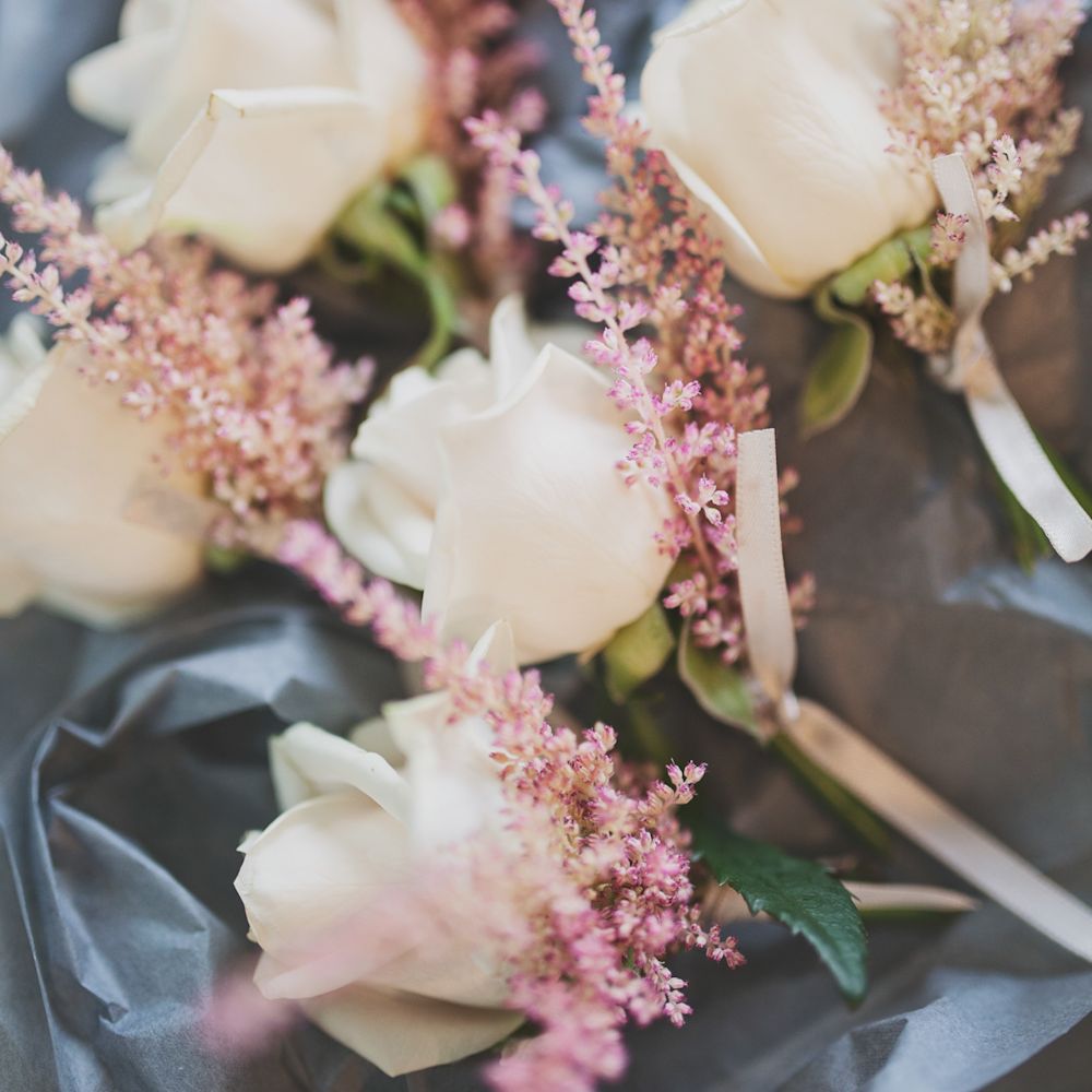 Image by <a href="https://www.katymelling.com" target="_blank">Katy Melling Photography</a>