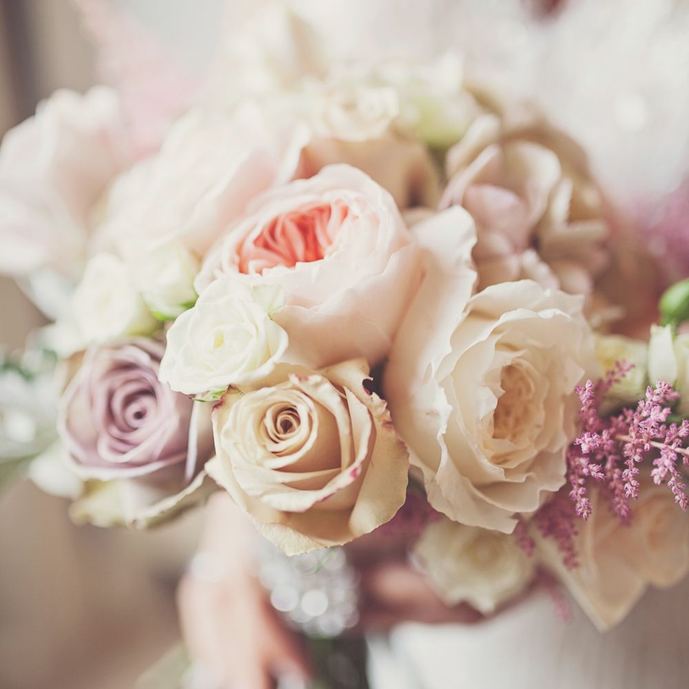 Image by <a href="https://www.katymelling.com" target="_blank">Katy Melling Photography</a>