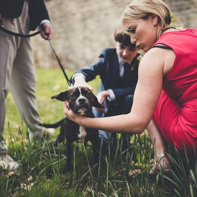 Bridesmaids In Red High Street Dresses