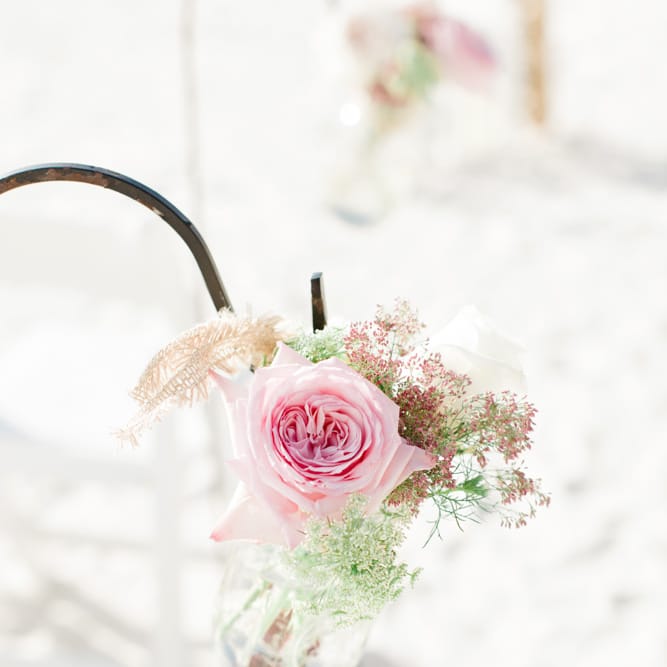 Images by <a href="https:// www.brookeimages.com" target="_blank">Brooke Images</a>