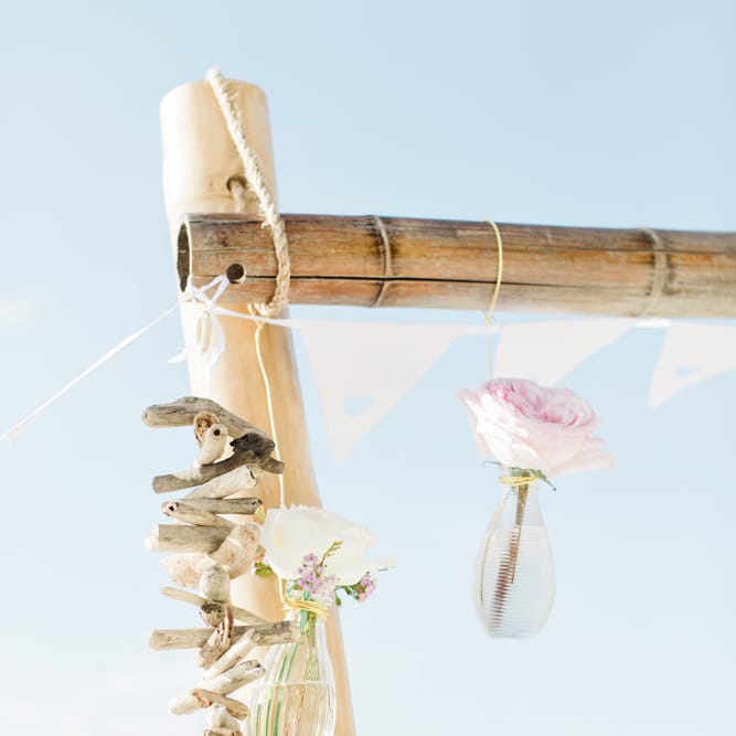 Images by <a href="https:// www.brookeimages.com" target="_blank">Brooke Images</a>