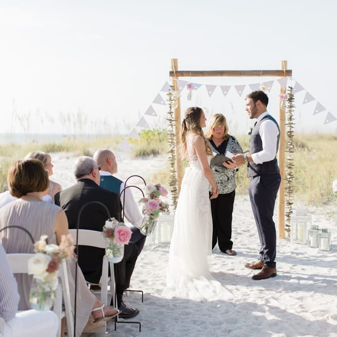 Images by <a href="https:// www.brookeimages.com" target="_blank">Brooke Images</a>