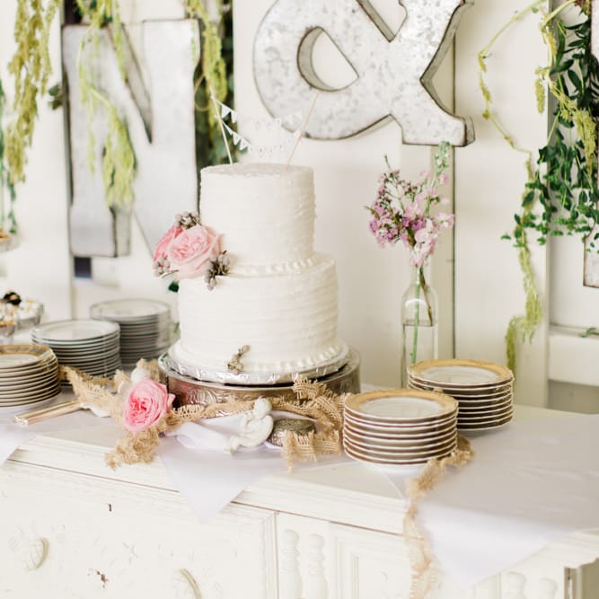 Images by <a href="https:// www.brookeimages.com" target="_blank">Brooke Images</a>