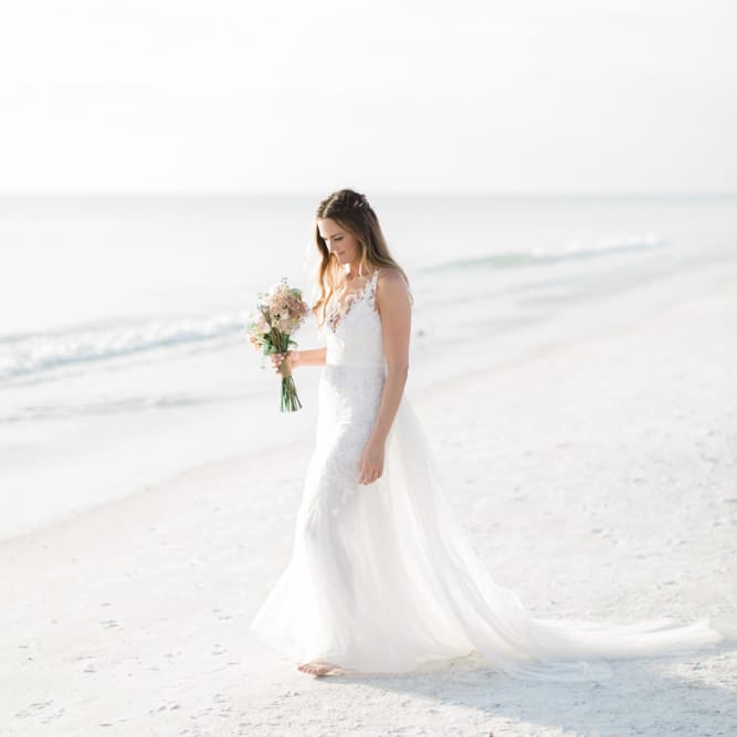 Images by <a href="https:// www.brookeimages.com" target="_blank">Brooke Images</a>