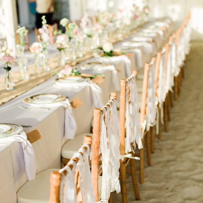 Images by <a href="https:// www.brookeimages.com" target="_blank">Brooke Images</a>