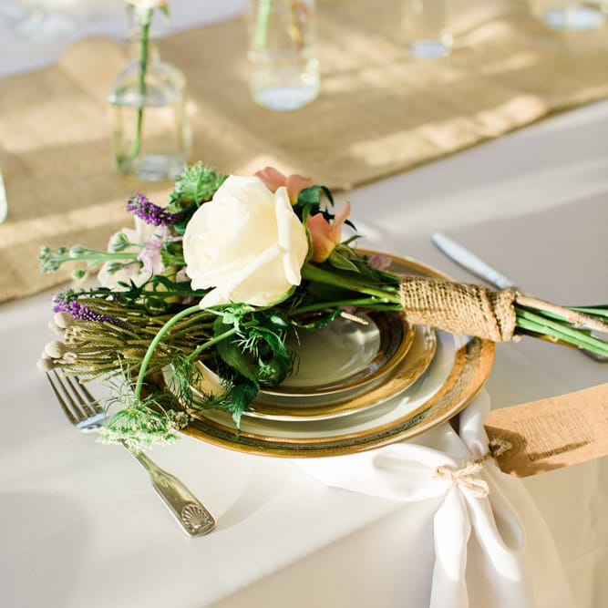 Images by <a href="https:// www.brookeimages.com" target="_blank">Brooke Images</a>