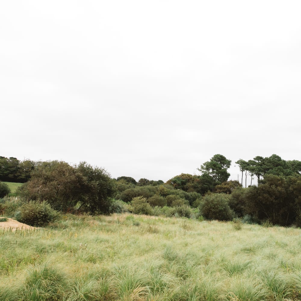 Planning A Destination Wedding In France With Planner Louise From French Bague ette