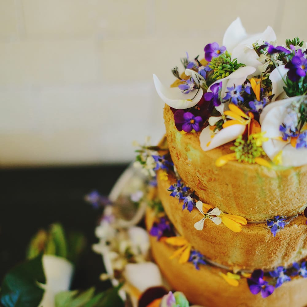 Image by <a href="https://www.jonathanong.com" target="_blank">Jonathan Ong Photography</a>