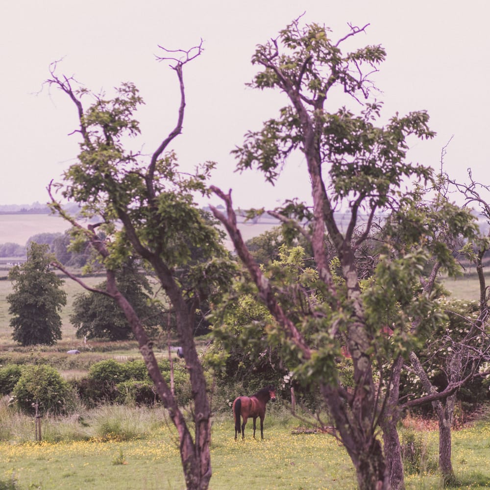 Country House Wedding Venue