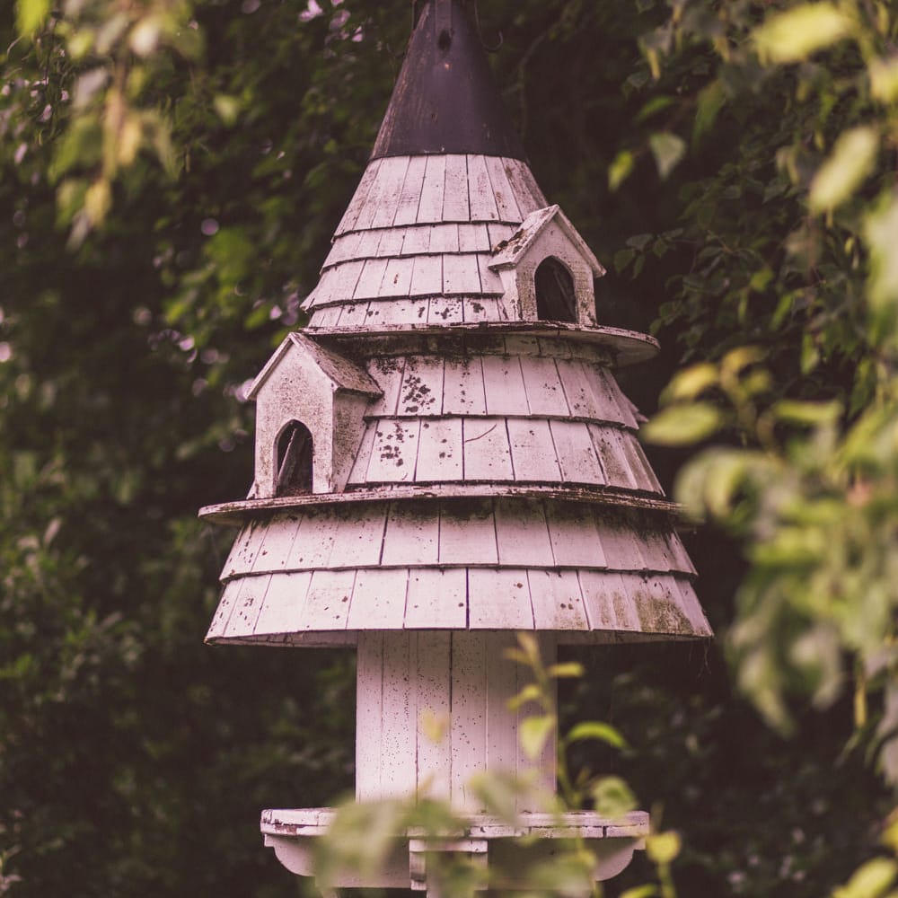 Bee Hive