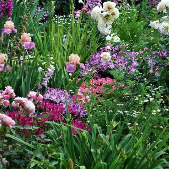 Image via <a href="https://forums.gardenweb.com/discussions/1869108/moms cottage garden peaks pics" target="_blank">Houzz</a>