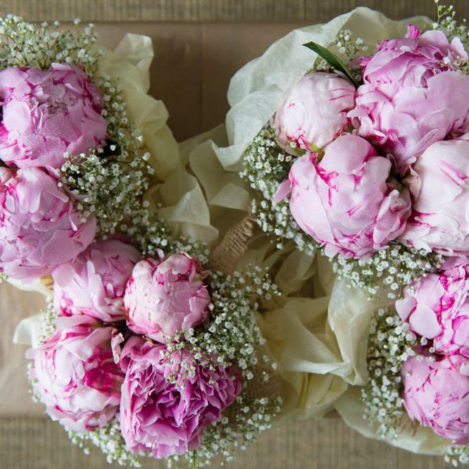 Image by <a href="https://especiallyamy.co.uk/" target="_blank">Especially amy</a>