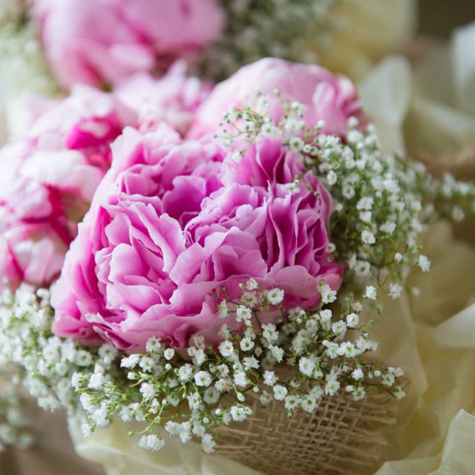 Image by <a href="https://especiallyamy.co.uk/" target="_blank">Especially amy</a>