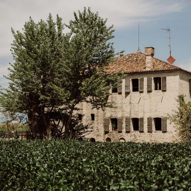 Rustic Wedding In Italy At Locanda Rosa Rosae With Intimate Candle Lit Dinner &amp; Bride In Mango Dress With Veil By AM Faulkner With Images From Alen Karupovic