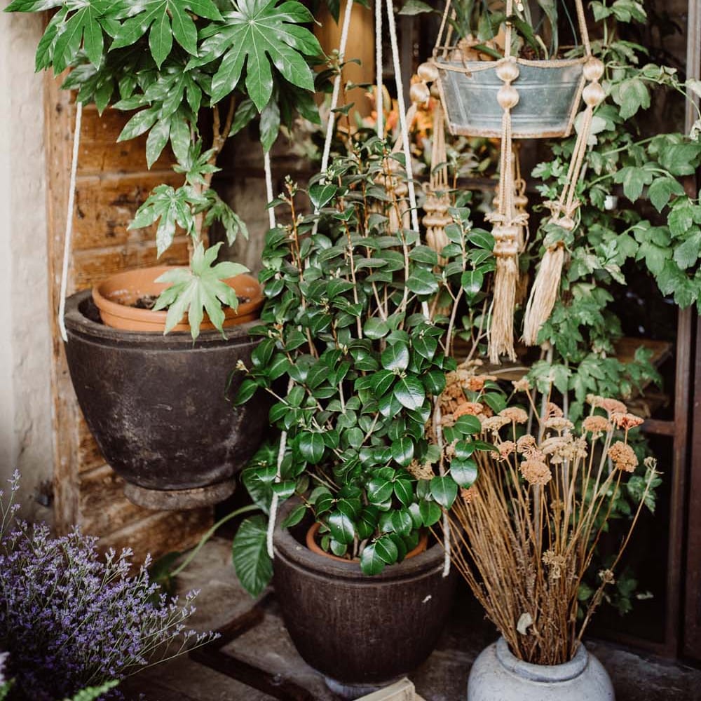 Rustic Wedding In Italy At Locanda Rosa Rosae With Intimate Candle Lit Dinner &amp; Bride In Mango Dress With Veil By AM Faulkner With Images From Alen Karupovic