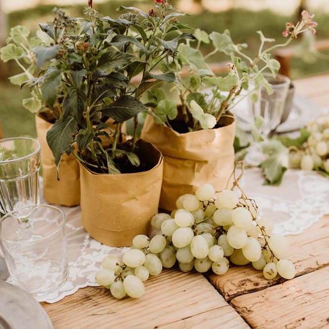 Potted Herbs & Fresh Fruit For Wedding Reception Decor