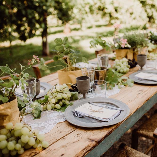 Potted Herbs & Fresh Fruit For Wedding Reception Decor