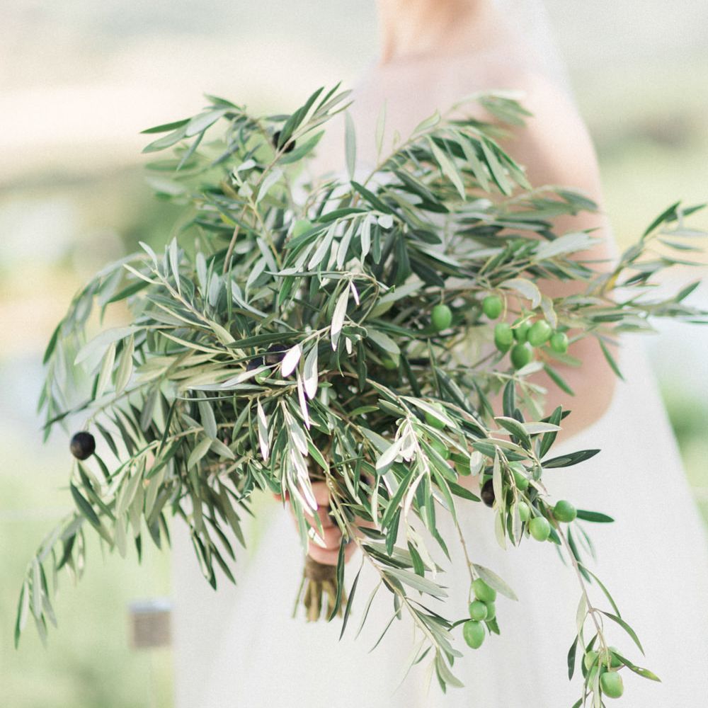 Image by <a href="https://www.thebarefootbrunettes.com/portfolio" target="_blank">The Barefoot Brunettes</a>