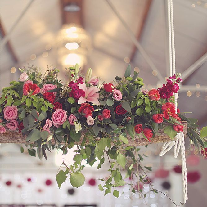 Image by <a href="https://rozandkirstyphotography.co.uk/" target="_blank">Roz & Kirsty Photography</a>