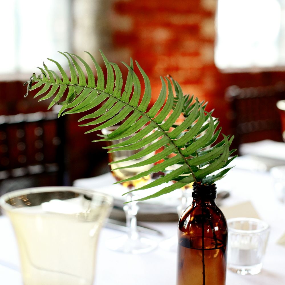 Brown Bottle & Fern Foliage Centrepiece | Dasha Caffrey Photography | Liz Linklater Event Planning & Design
