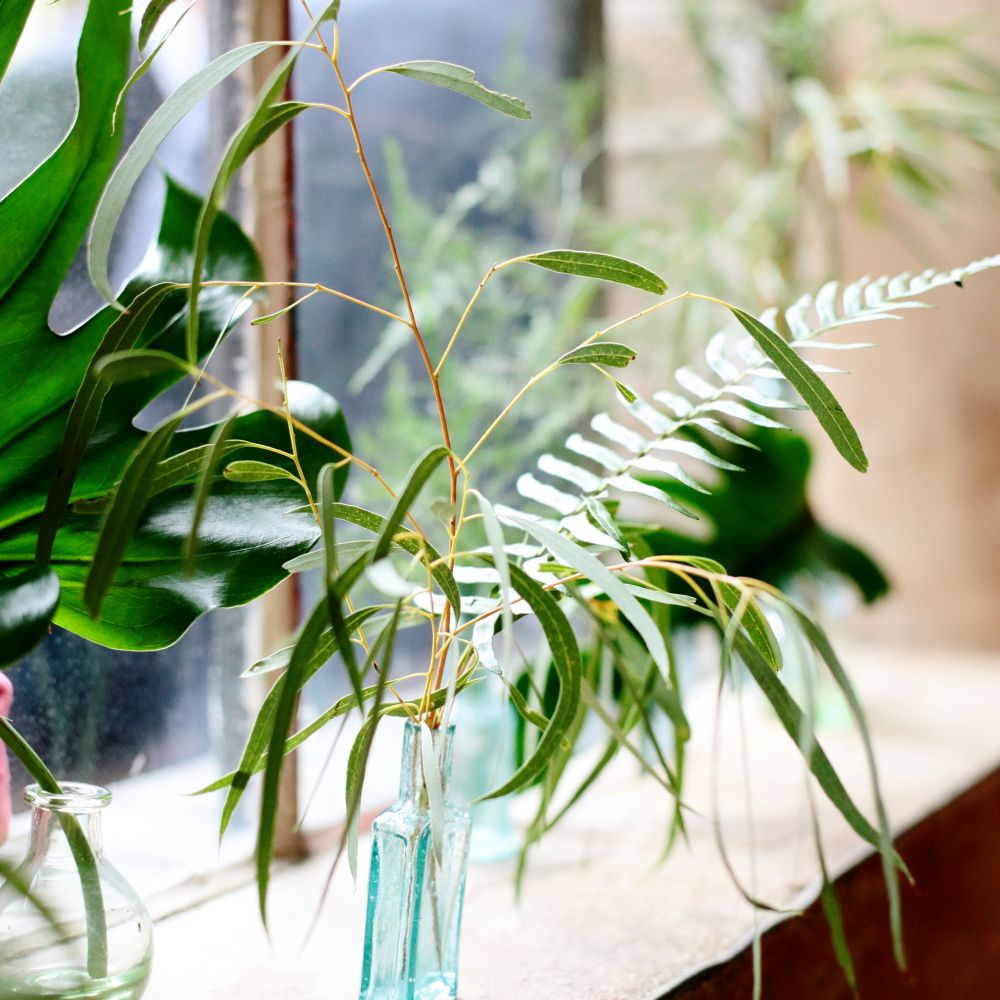 Botanical Greenery Foliage Wedding Decor | Dasha Caffrey Photography