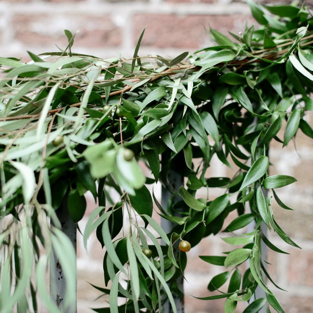 Botanical Greenery Foliage Wedding Decor | Dasha Caffrey Photography