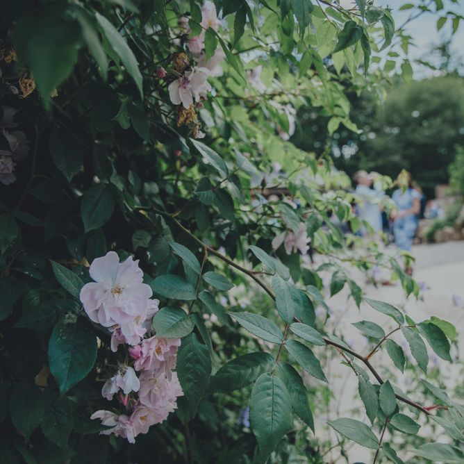 Nancarrow Farm Cornwall Wedding