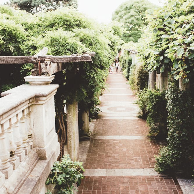 Intimate Wedding In London At Golders Hill Park Pergola