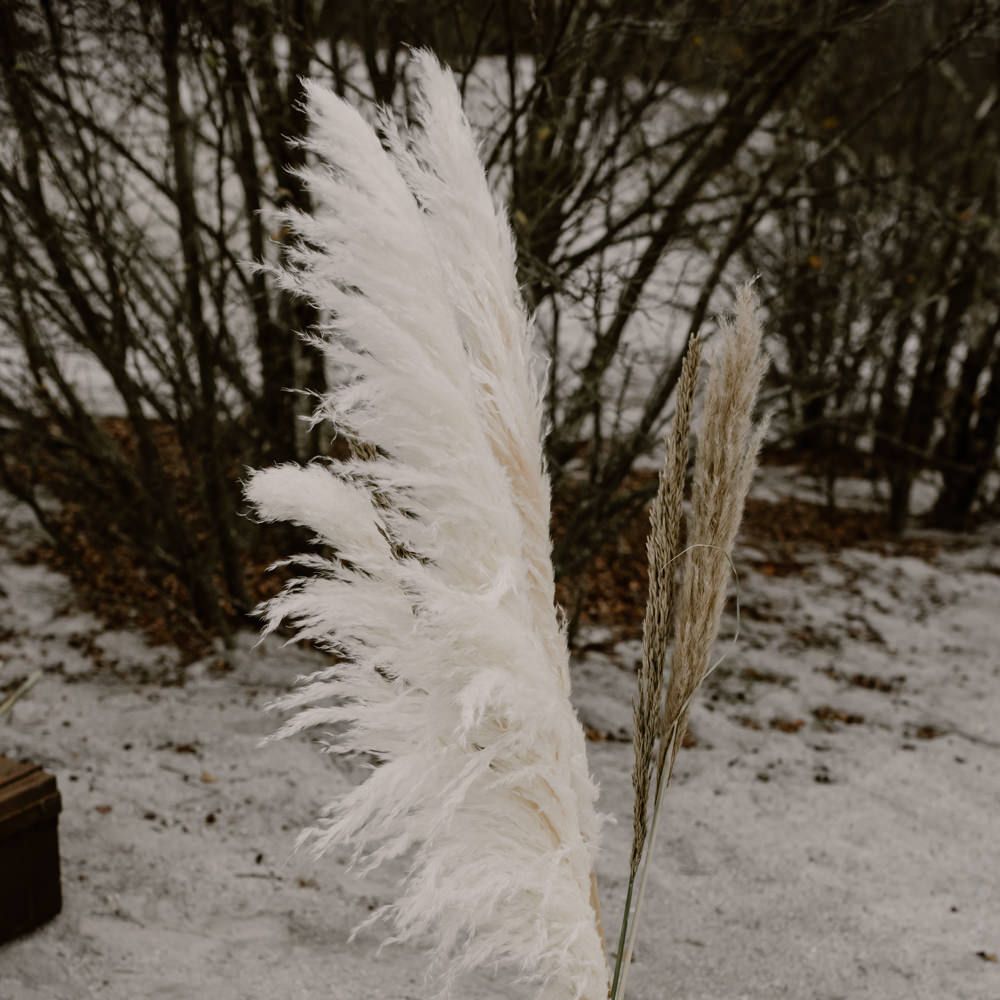 Single Stem Pampas Grass in Glass Vessel Wedding Decor | Wild Same Sex Couple Wedding Inspiration Shoot | Anne Letournel Photography