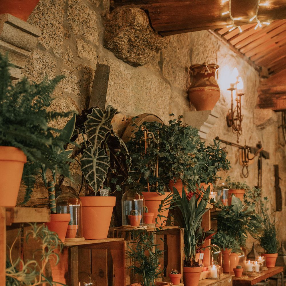 Bamboo Furniture For Destination Wedding In Spain With Planning From El Mono Con Sombrero With Images By AHR Photos Spanish Wedding Photography