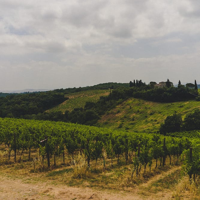 La Pieve Marsina. Intimate Prosecco Pool Party Wedding in Tuscany. Bride wears Livio Lacurre Gown, Groom wears Beggars Run Custom Suit. Photography by Livio Lacurre.