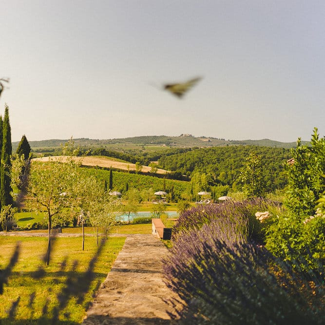 La Pieve Marsina. Intimate Prosecco Pool Party Wedding in Tuscany. Bride wears Livio Lacurre Gown, Groom wears Beggars Run Custom Suit. Photography by Livio Lacurre.