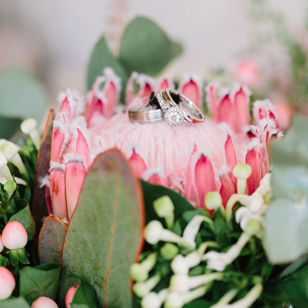 Protea Wedding Flower | DIY Country Wedding at Warborne Farm, Lymington | Camilla Arnhold Photography