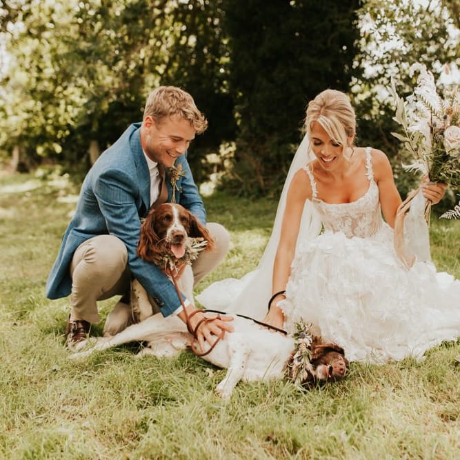 Bride and groom portrait with their pet spaniels in floral collars