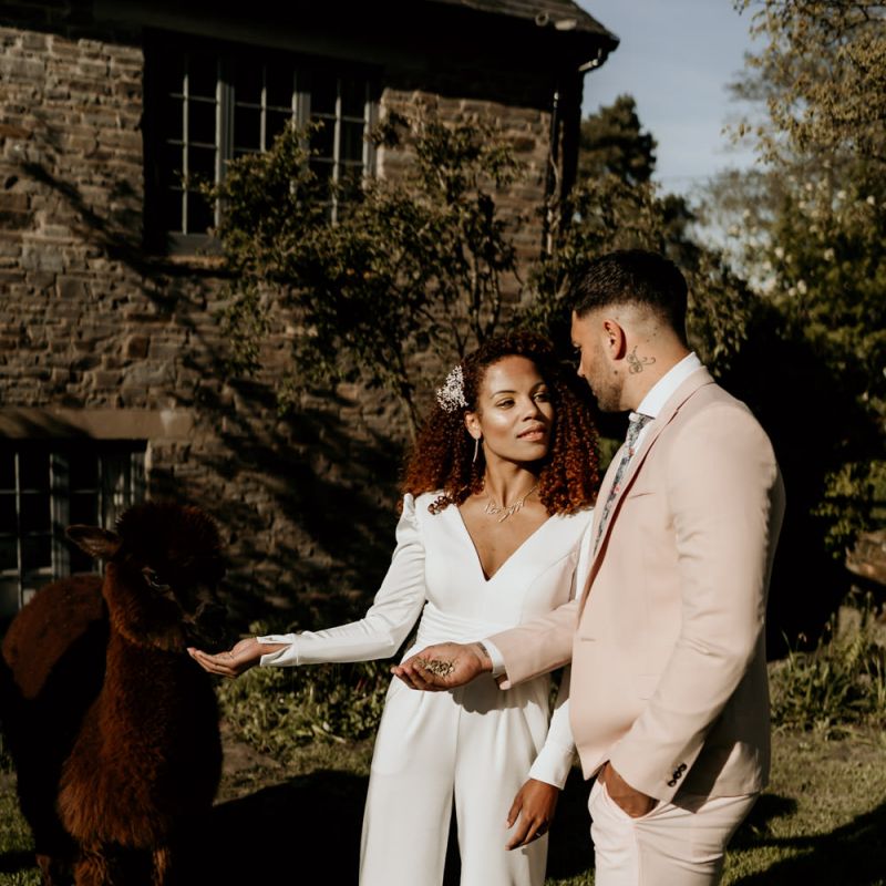 Black Bride with Afro Hair in White Jumpsuit and Groom in Pink Suit and Loafers Feeding an Alpaca