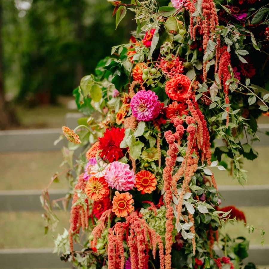 brightly coloured wedding arch flowers