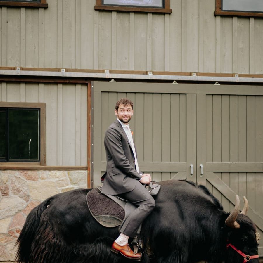 Groom in suit supply suit on a bull
