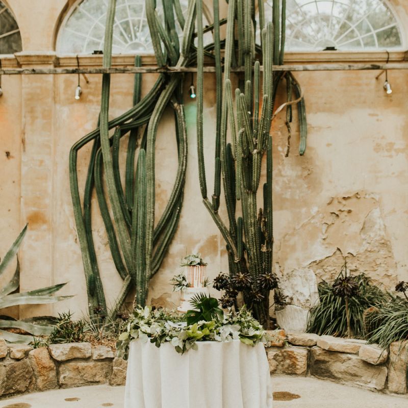 Wedding Cake Table with Botanical Plant Backdrop