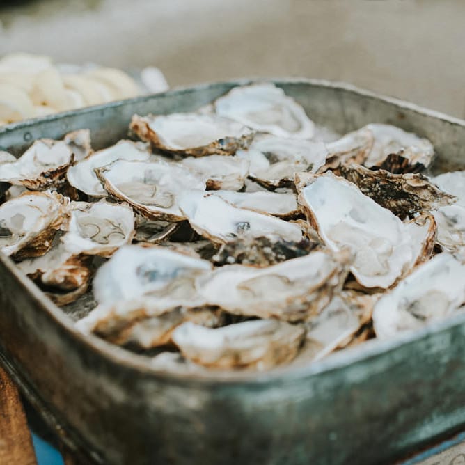 Oyster Bar At Wedding
