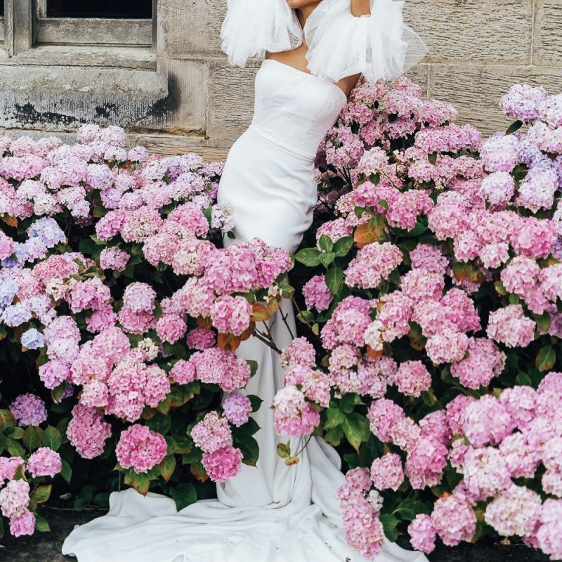 Bride standing in a hydrangea bush at Chiddingstone Castle